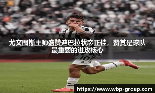 ng28相信品牌的力量官网