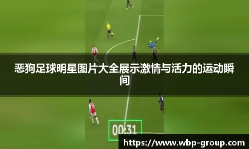 恶狗足球明星图片大全展示激情与活力的运动瞬间